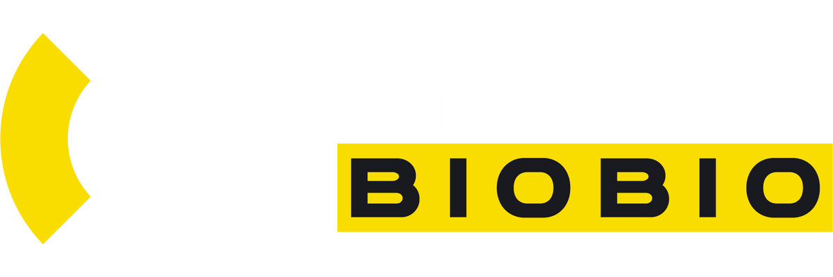 Frenos BIOBIO | Repuestos de freno